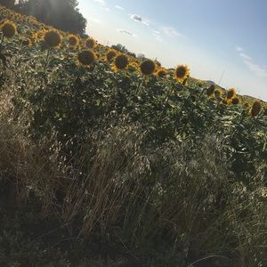 Meet your Posher, Chloe